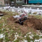 photo_2025-11-18_10-09-30